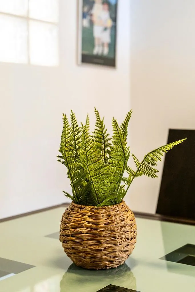 Aparthotel Appartement Artistique Pour 4 Au Coeur Du Panier Marseille